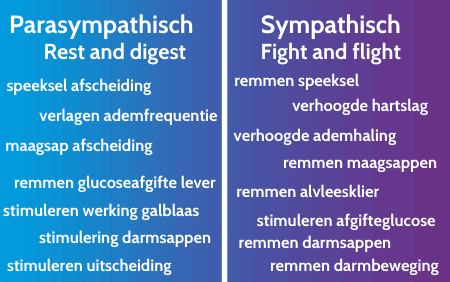 sympathisch en parasympathisch