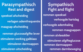 Stress en overgewicht