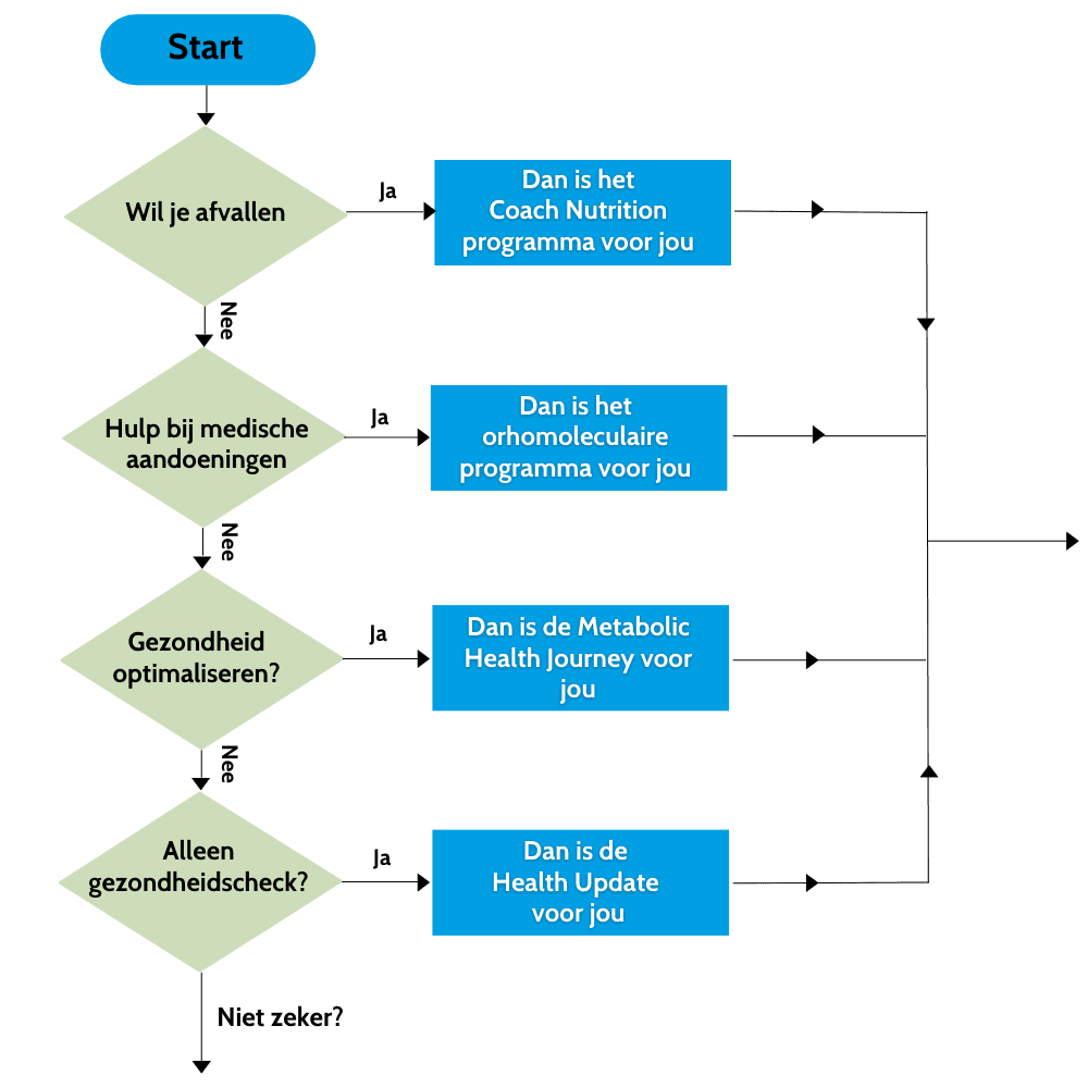 Keuze stroomschema mobiel